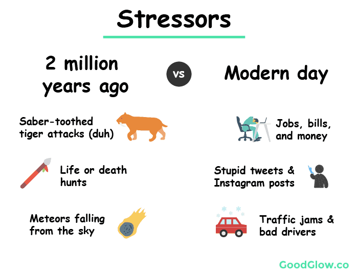 Stress during the Paleolithic era was much less common than stress in modern times